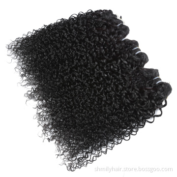 Human Hair Supplier Curly Wave Hair Wig Indian Human Hair Extension Double Drawn Weft